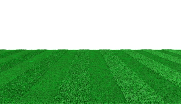 축구를하기위한 녹색 줄무늬 나가는 산책로. 3D 그림