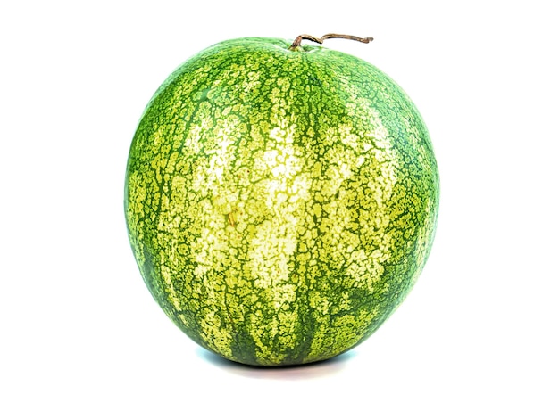 Green striped watermelon on a white background