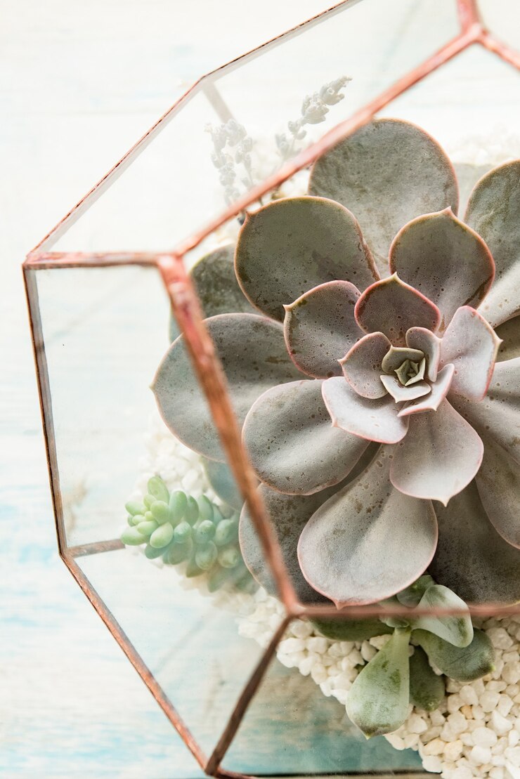 Photo green succulent in a glass pot in white loft interior in scandinavian style