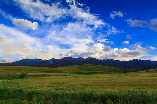 Green summer blooming hills against the background of mountains and sky