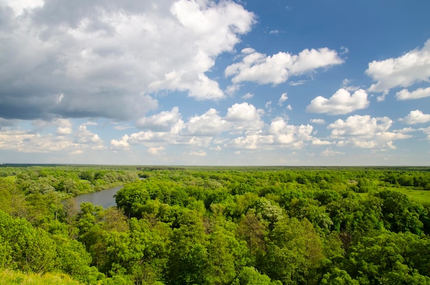 Green summer forest river and white clouds