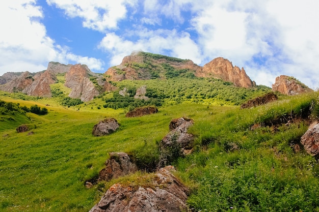 Green summer landscape with threes and rocks