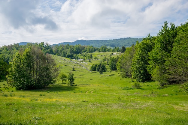 Green sunny meadow is a good place for meditation.