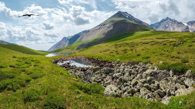 Green swampy plateau and a blue puddle against the background of distant hilly mountains A panorama of a pure green landscape