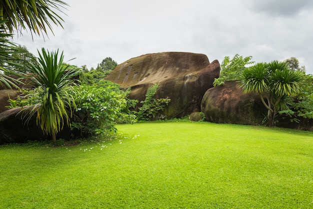 Green sward filed and garden, Scenery green grass at the natural park