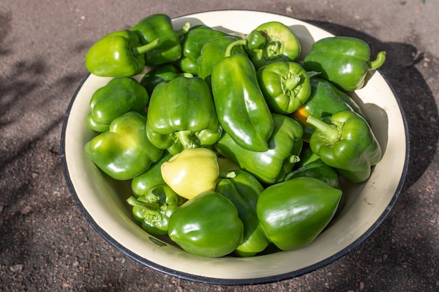 Peperone dolce verde in una ciotola di metallo coltivazione di ortaggi biologici nell'azienda agricola