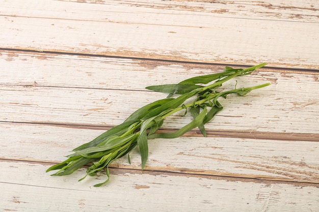 Green tarragon herb spice aroma for cooking