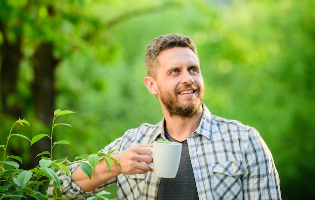 Green tea contains bioactive compounds that improve health\
whole leaf tea natural drink healthy lifestyle i prefer green tea\
refreshing drink man bearded tea farmer hold mug nature\
background