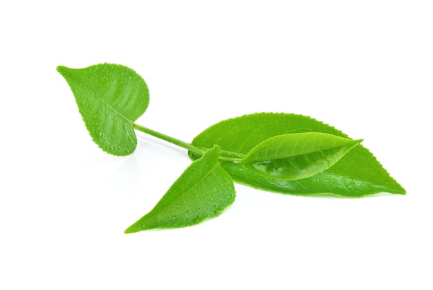 白い背景で隔離の水滴と緑茶の葉