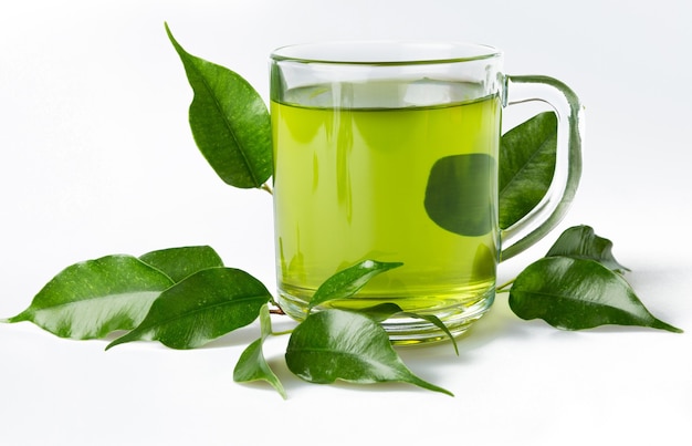 Green Tea Leaves and Green Tea in Cup