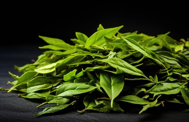 Green tea leaves