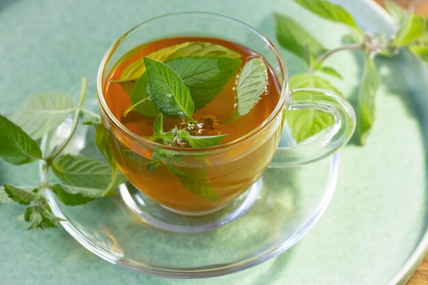 透明なボウルに入ったミント入り緑茶 健康食品の抗酸化物質