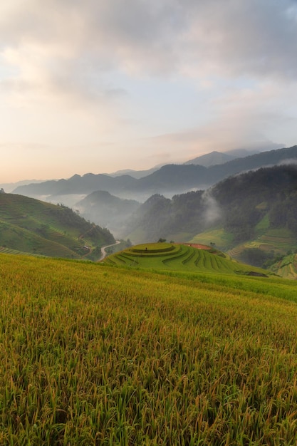 Green terraced rice fields in rainy season at Mu Cang Chai Vietnam