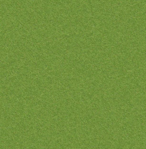 a green texture of grass with a white background.