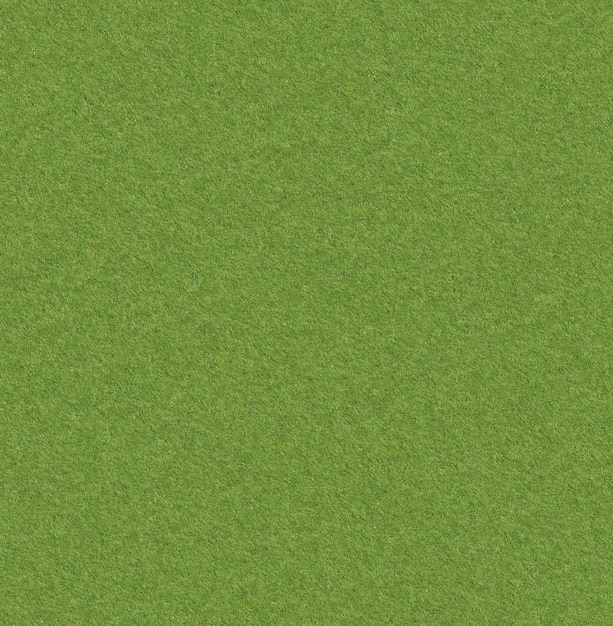 A green texture of grass with a white background.