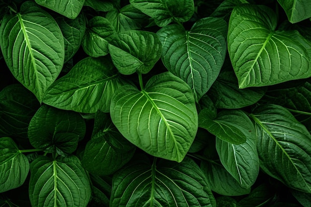 Green Texture of Leaves Generative By Ai