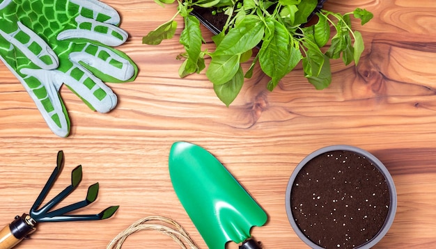 Green Thumb Essentials Top View of Gardening Tools on the Wooden Floor Get Ready to Cultivate