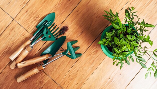 Green Thumb Essentials 木の床に置かれたガーデニング ツールの上面図 栽培の準備をする