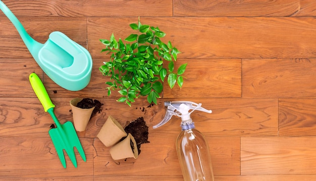 Green Thumb Essentials 나무 바닥에 있는 원예 도구의 평면도 재배 준비