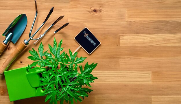 Green Thumb Essentials Top View of Gardening Tools on the Wooden Floor Get Ready to Cultivate