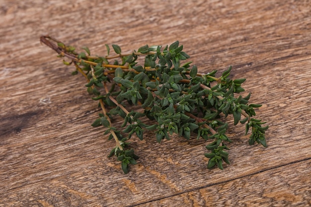 Green Thyme branch