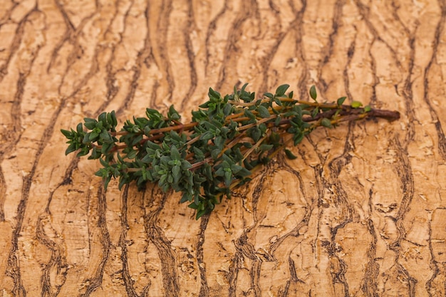 Green Thyme branch