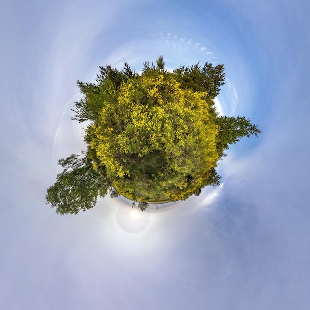 Green tiny planet in blue sky with beautiful clouds Transformation of spherical panorama 360 degrees Spherical abstract aerial view Curvature of space