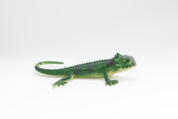 Зеленая игрушечная ящерица на белом фоне