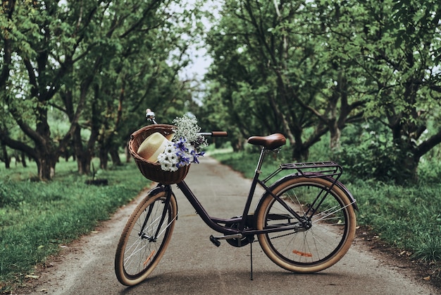 グリーン輸送。屋外の道路に立っているバスケットに花と帽子と自転車のクローズアップ