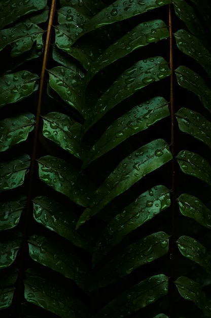 Green treads on a tire with water drops on them.