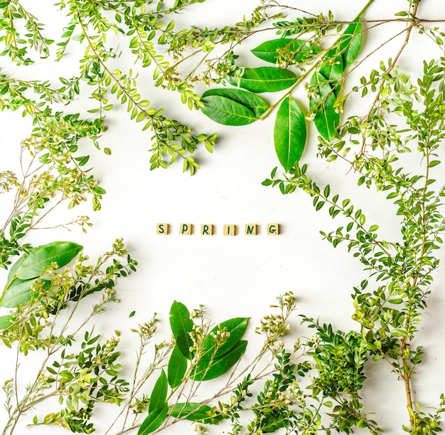 Green tree branches and plants with spring inscription