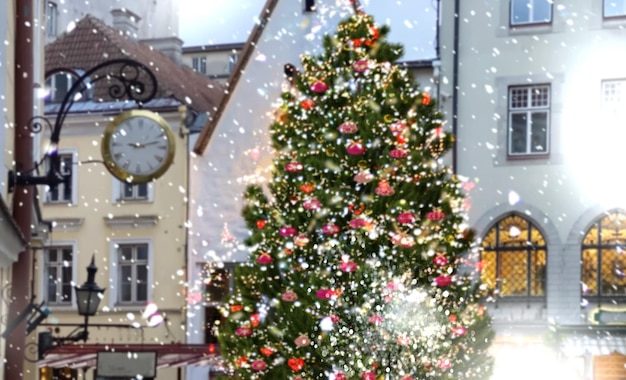 雪に覆われたタリン旧市街の休日の家の中世都市の通りの緑の木の装飾