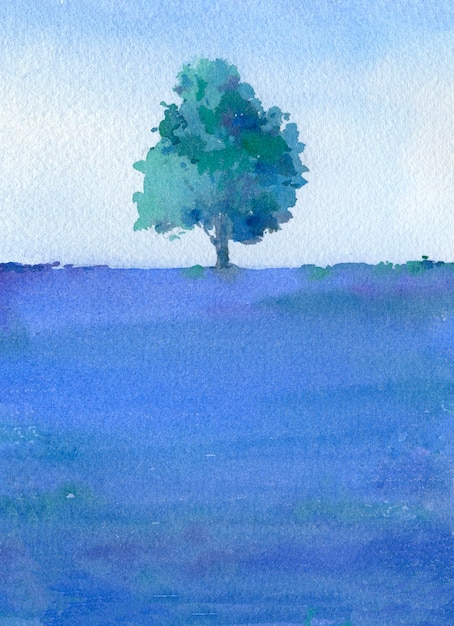 Green tree in field.Watercolor hand drawn illustration.