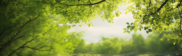 Green tree natural background