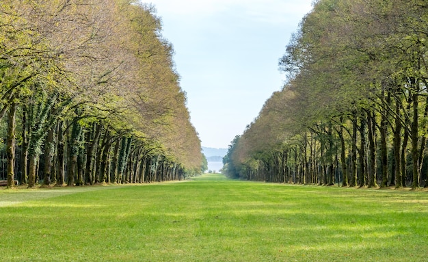 写真 ヘレンキームゼー宮殿公園の緑の木々