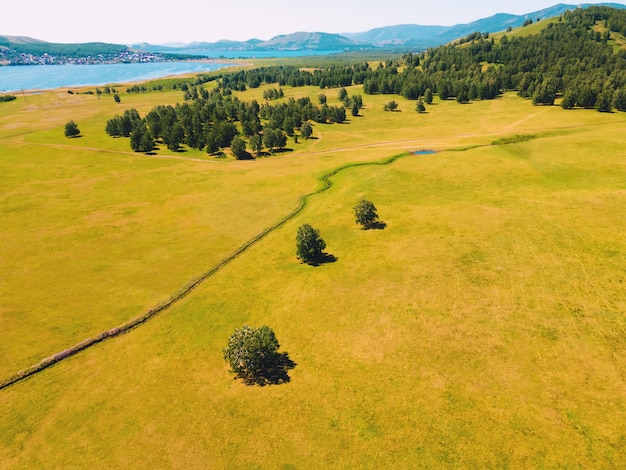 Green trees on the meadow with green grass in the mountains. Beautiful summer landscape. Aerial drone view. Bashkortostan, South Ural, Russia
