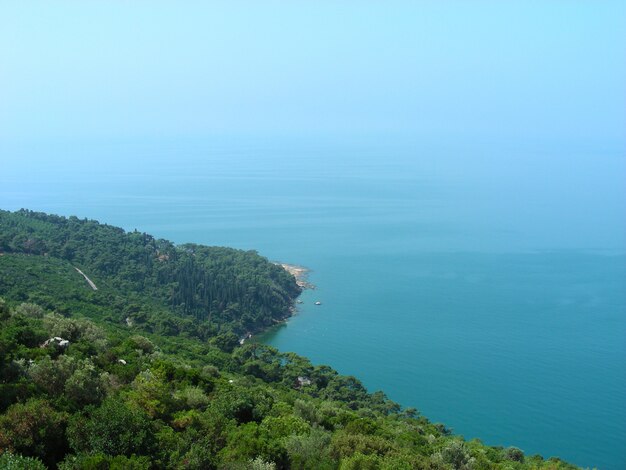 Green trees on the mountains landscape