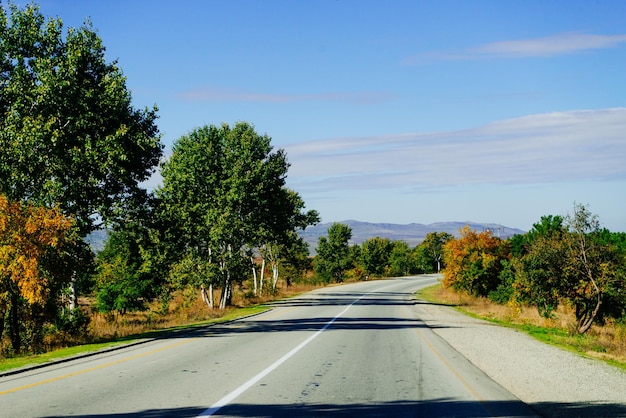 Green trees and plants grow along the road under the blue sky