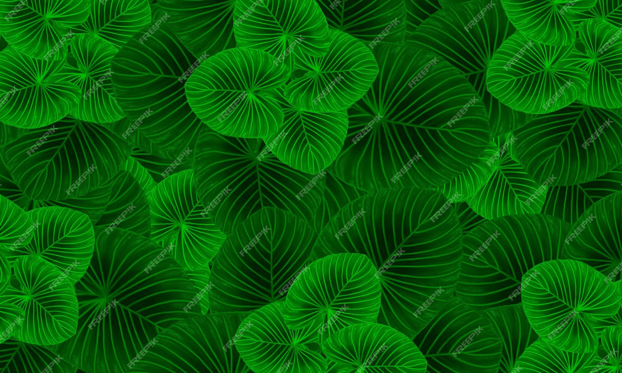 Premium Photo | Green tropical leaves pattern abstract spring nature  wallpaper design background