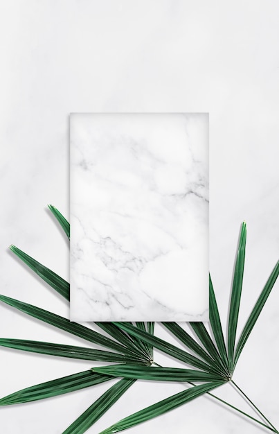 Green tropical leaves with empty marble background