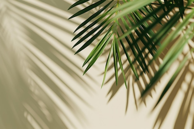 Photo green tropical palm tree leaves on beige background