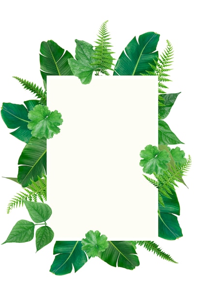 Green tropical square green leaves frame template