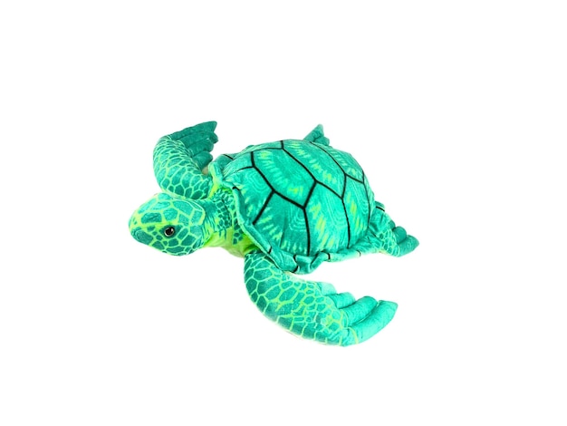 Foto una tartaruga verde ripiena isolata su bianco