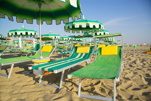 Green umbrellas and chaise lounges on the beach of Rimini in Italy