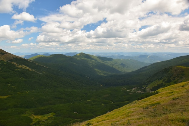 Green valley overgrown with trees between mountains. Above her is a cloudy blue sky.