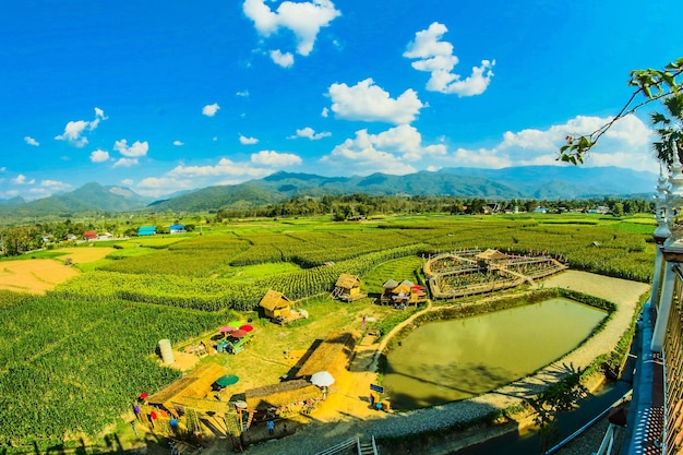 Green valley sky scene