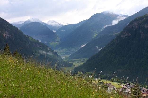 Green valley with snowed mountains in the distance