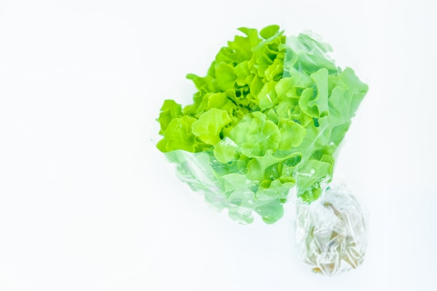 Green vegetable on white background