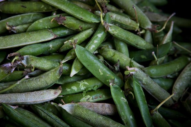 Photo green vegetables