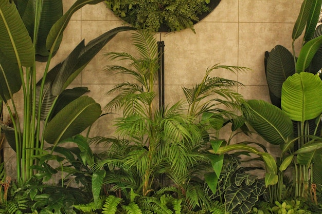 실내 장식에 있는 다양한 낙엽 식물의 녹색 벽 자연 잎 배경 에코 금